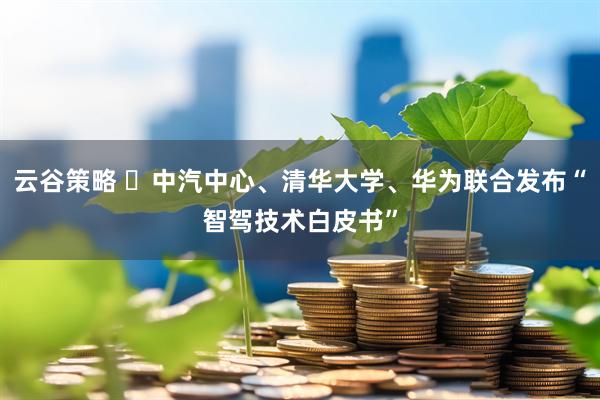 云谷策略 ​中汽中心、清华大学、华为联合发布“智驾技术白皮书”